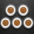 LOT OF 5 Lincoln Wheat Penny Cent BU Uncirculated - Brilliant Coin in Hard Case