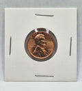 Lincoln Wheat Penny Cent BU Uncirculated - Brilliant Coin in Protective Holder