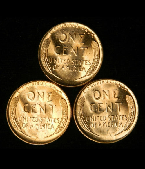 1 Roll BU Wheat Cent Penny Coin Set Estate Lot, Lincoln 50 Coins