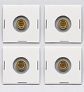 LOT OF 4 ✨ 14K 2 Pesos Gold Coin 🇲🇽💰 Privately Minted *IN Protective Holder*
