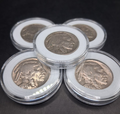 Lot of 5 Buffalo / Indian Head Nickel Coins with Full Dates, US Coins!