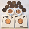 ESTATE SALE PENNY LOT | Wheat Cents BU & Circulated + 2025 P & D Lincoln Cents