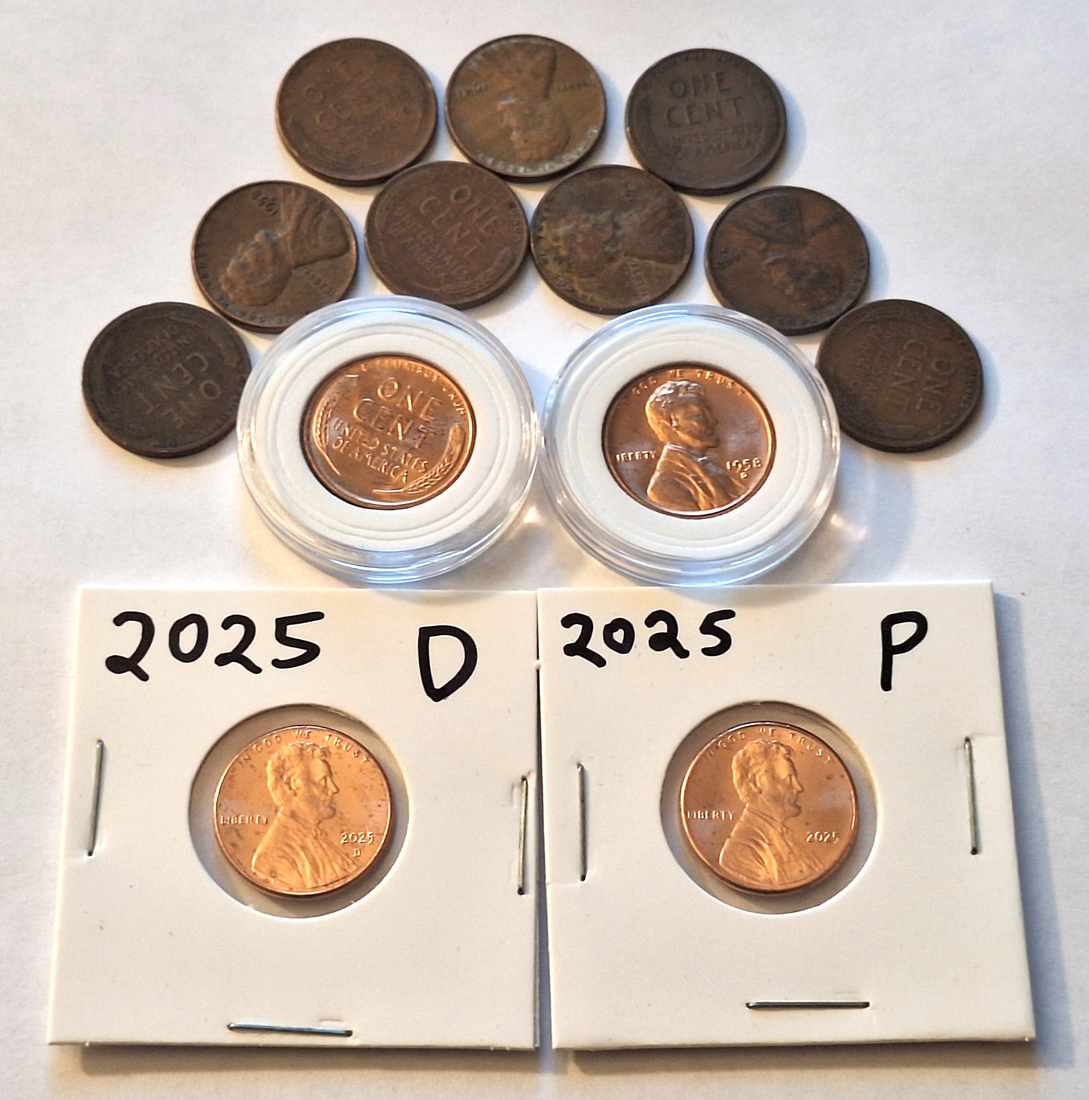 ESTATE SALE PENNY LOT | Wheat Cents BU & Circulated + 2025 P & D Lincoln Cents