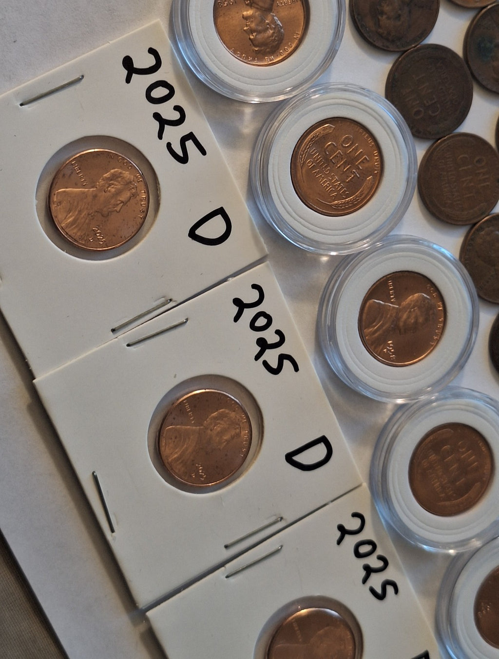 *ESTATE SALE* COIN LOT | Wheat Pennies BU & Circulated + 2025 Lincoln Cents