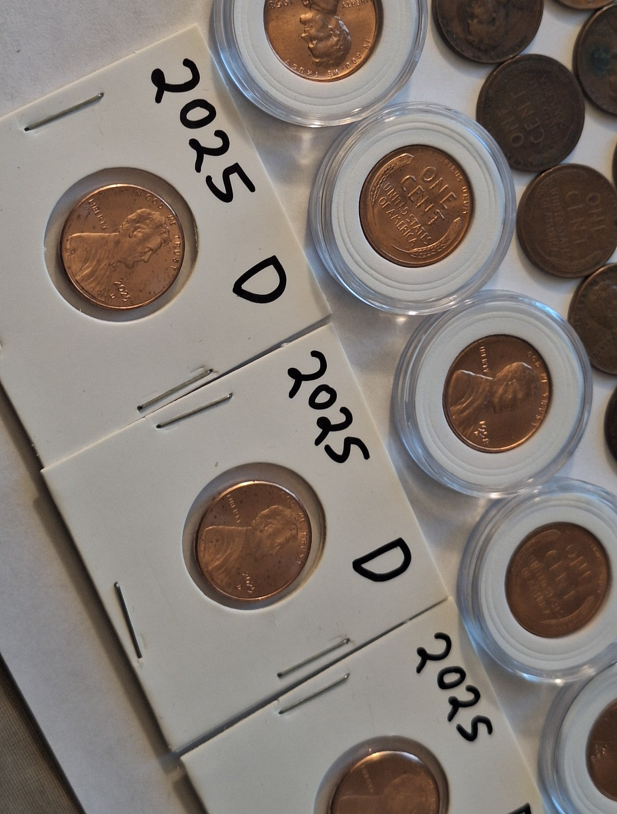 *ESTATE SALE* COIN LOT | Wheat Pennies BU & Circulated + 2025 Lincoln Cents
