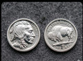 LOT 2 X 1 GRAM .999 FINE SILVER MONARCH BUFFALO INDIAN HEAD ROUNDS BU