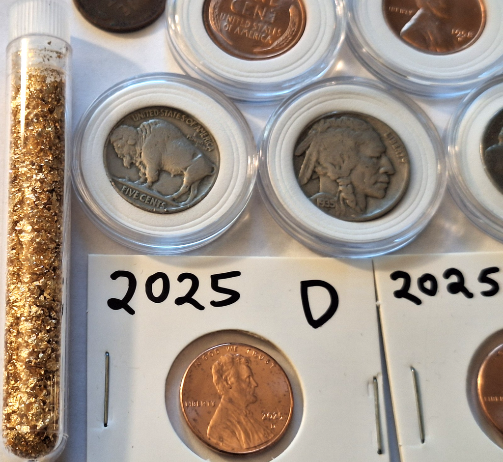 ESTATE SALE COIN LOT | Wheat Pennies, Buffalo Nickels, Gold Flakes & 2025 Cents
