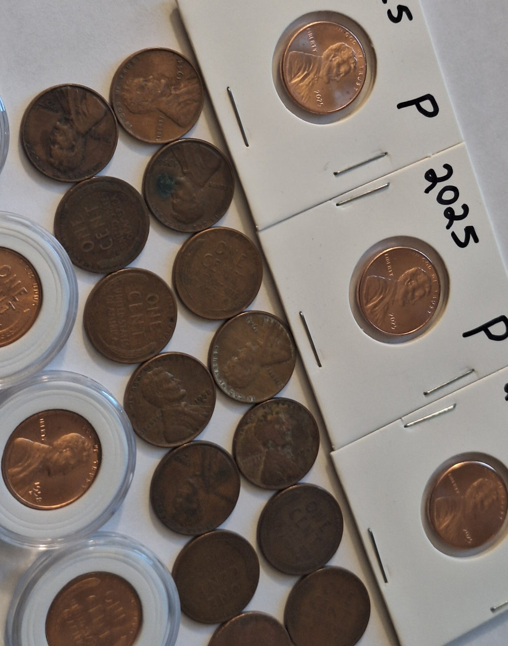 *ESTATE SALE* COIN LOT | Wheat Pennies BU & Circulated + 2025 Lincoln Cents