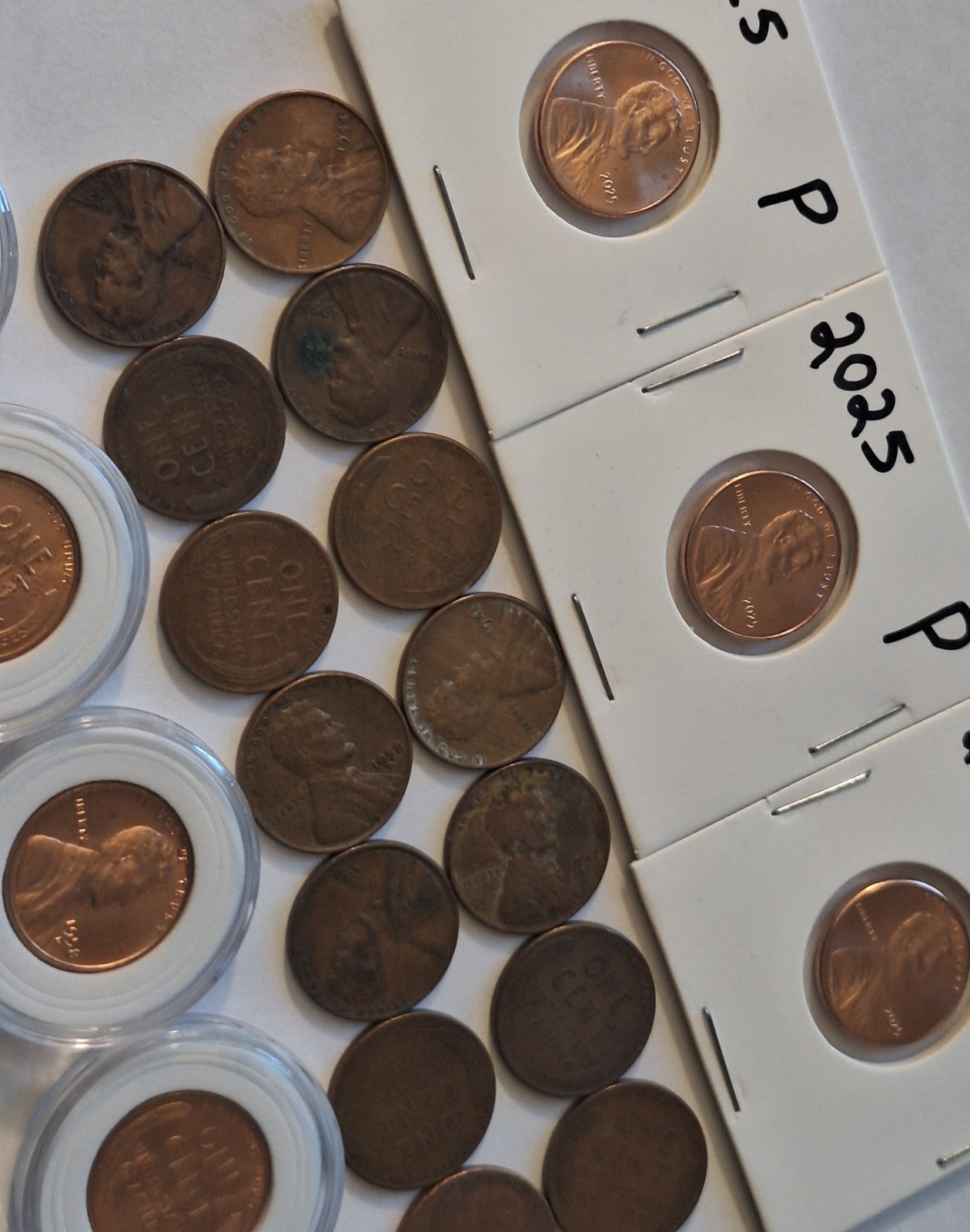 *ESTATE SALE* COIN LOT | Wheat Pennies BU & Circulated + 2025 Lincoln Cents