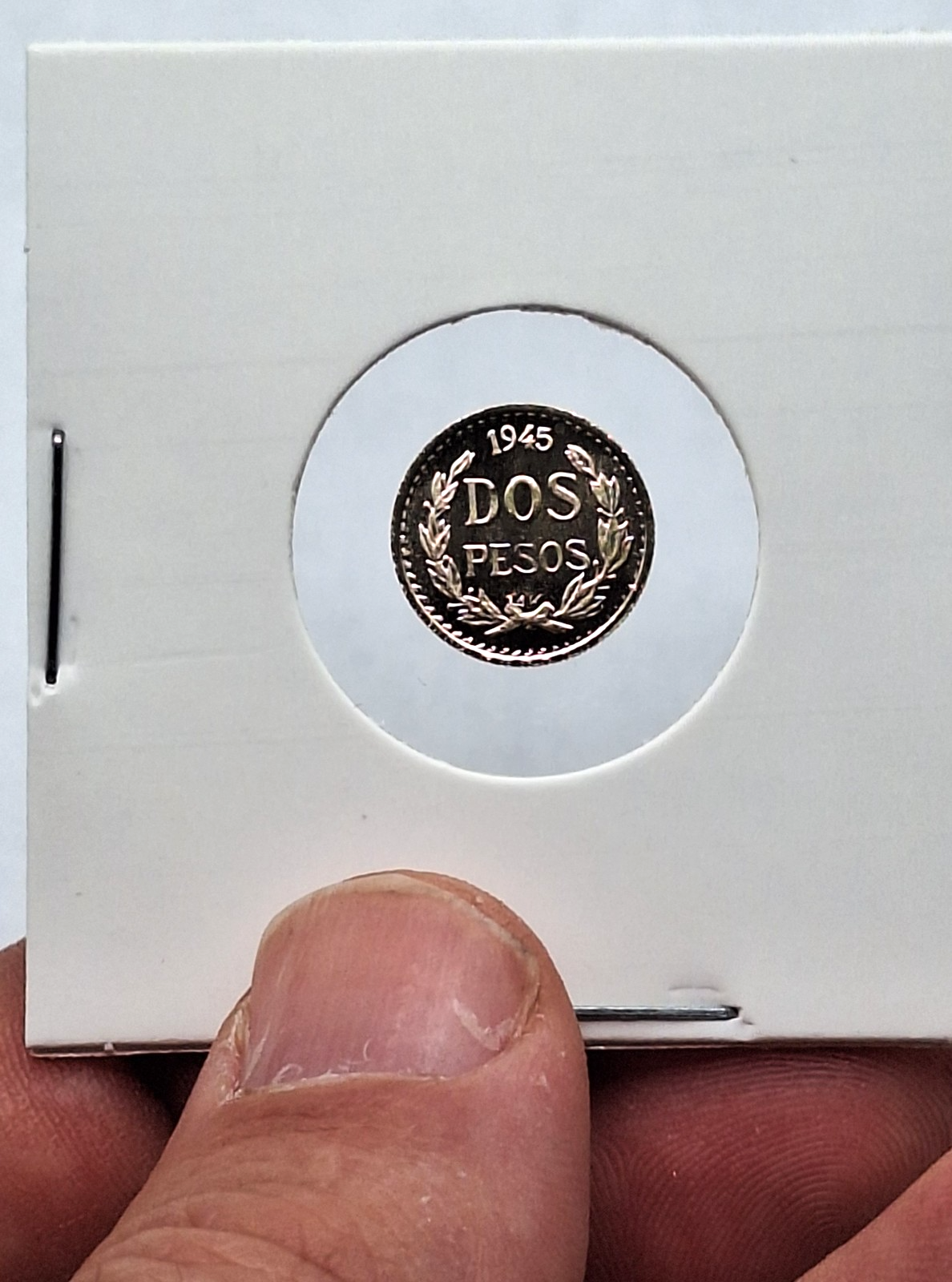 14K Gold 2 Pesos & 2.5 Pesos Coin Set Privately Minted in Protective Holders