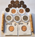 ESTATE SALE COIN LOT | Wheat Pennies, Buffalo Nickels, Gold Flakes & 2025 Cents