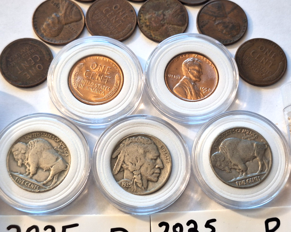 ESTATE SALE COIN LOT | Wheat Pennies, Buffalo Nickels, Gold Flakes & 2025 Cents