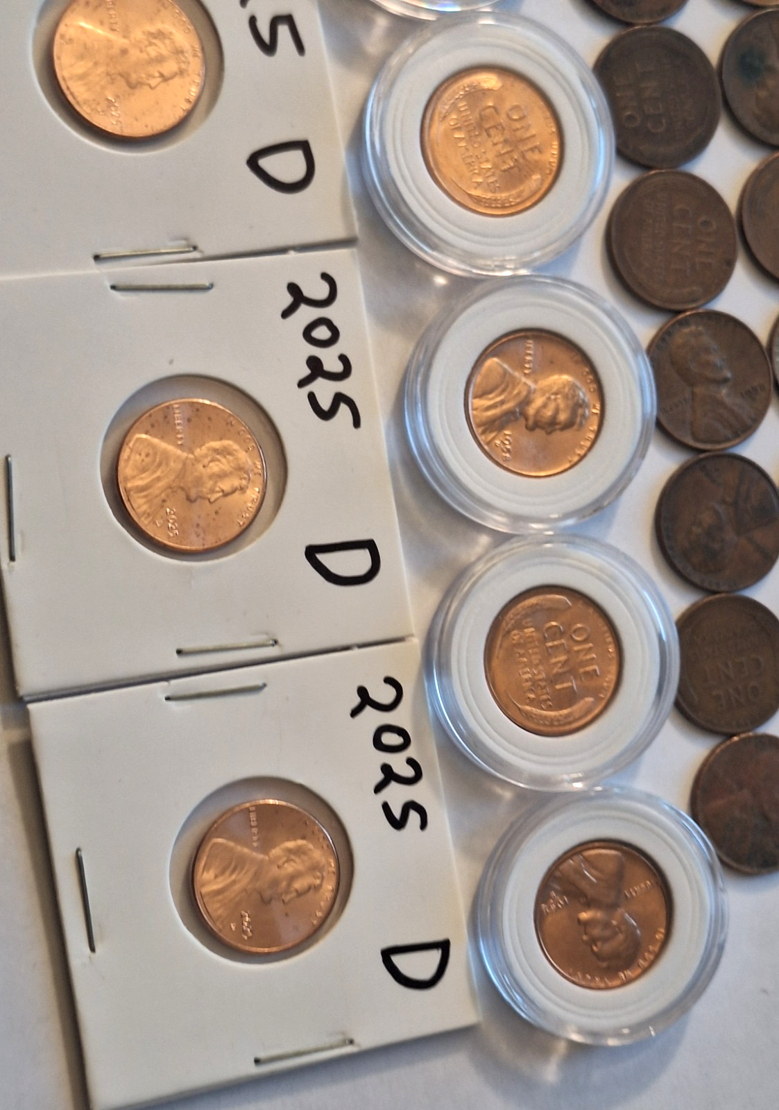 *ESTATE SALE* COIN LOT | Wheat Pennies BU & Circulated + 2025 Lincoln Cents